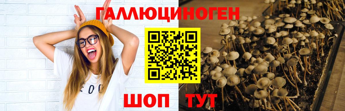 Галлюциногенные грибы Cubensis Большой Камень